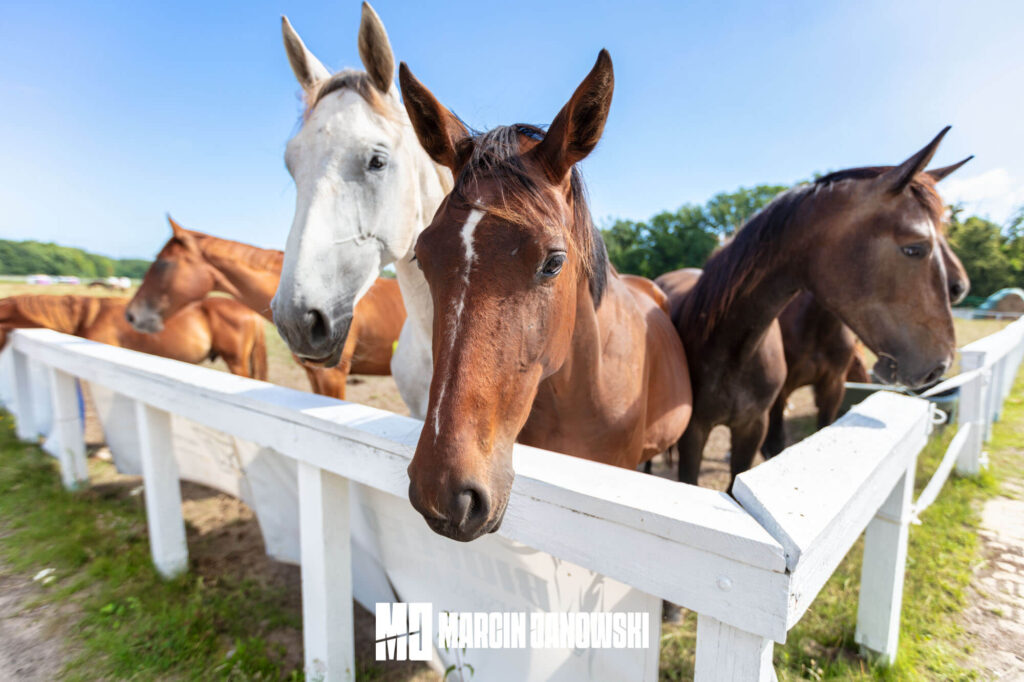 Kadyny Folwark Hotel & Spa